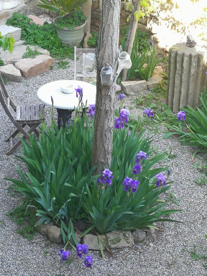 La Casa Dels Ocells (Adults Only) Bed & Breakfast Granollers de Florejacs Екстериор снимка